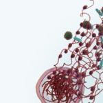 volition-nets-7