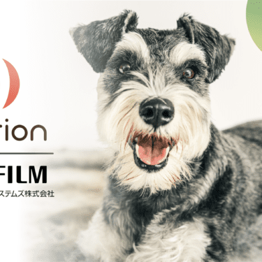Volition Fuji Thumbnail