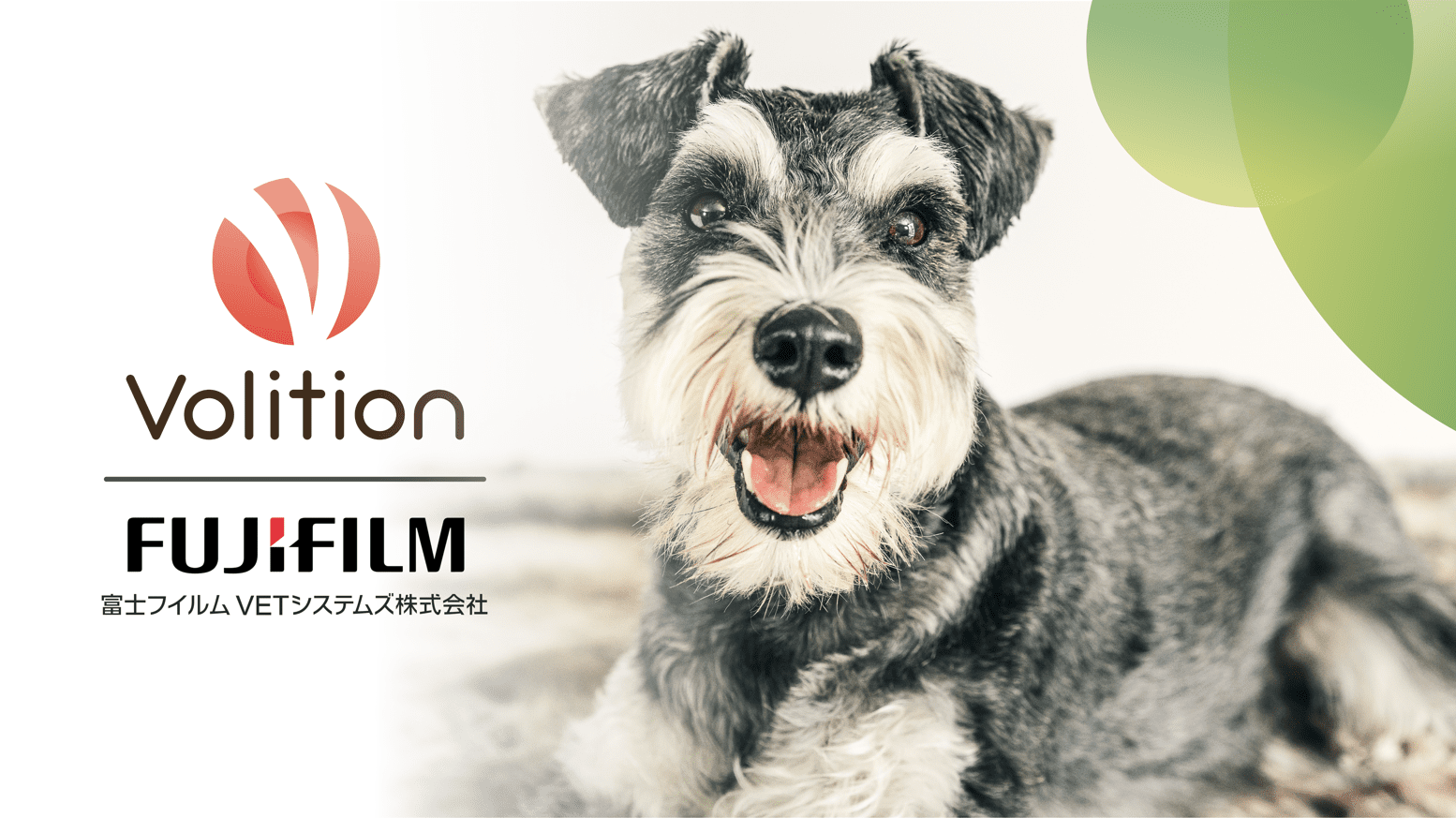 Volition Fuji Thumbnail