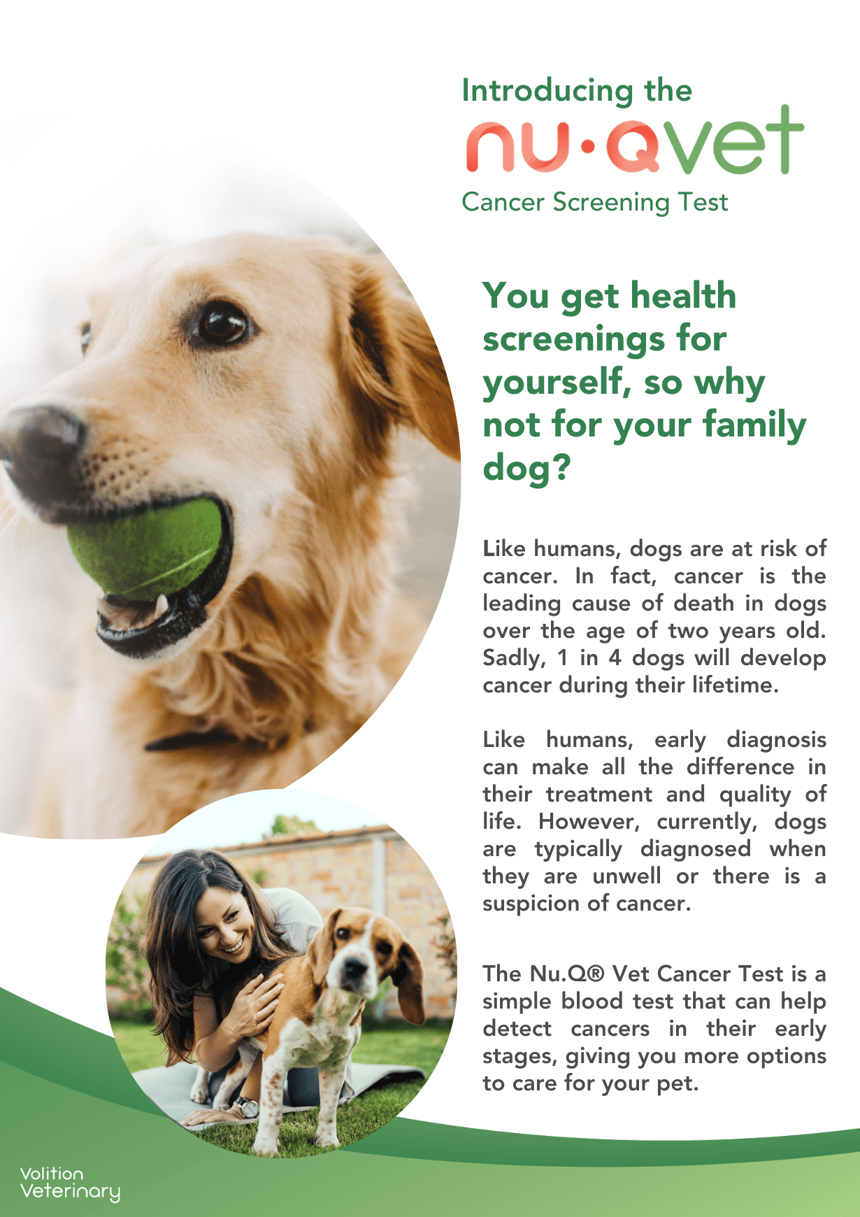 You get health screenings for yourself, so why not for your family dog Like humans, dogs are at risk of cancer. In fact, cancer is the leading cause of death in dogs over the age of two years old.