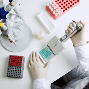 NETs lab3