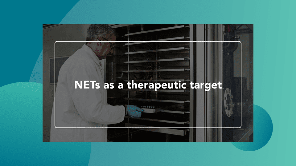 Web Thumbnail NETs as a therapeutic target