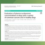 Evaluation plasma nucloesomes dogs Wilson Robles BMC featured image