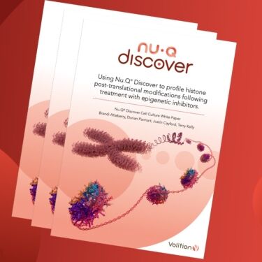 discover whitepaper