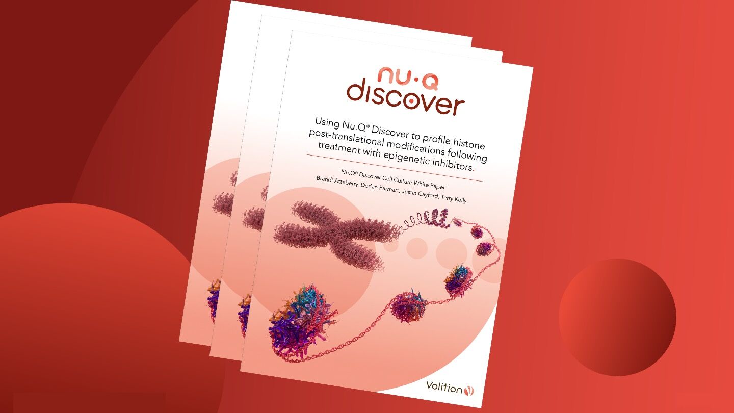 discover whitepaper