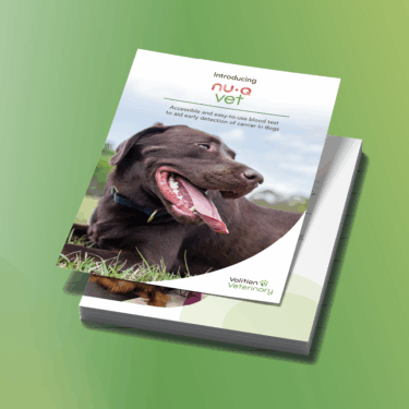 white paper thumbnail