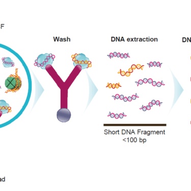 Diagram to show transformational wet chemistry pathway that identifies and physically isolates chromatin fragments