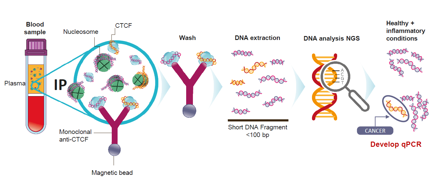Diagram to show transformational wet chemistry pathway that identifies and physically isolates chromatin fragments