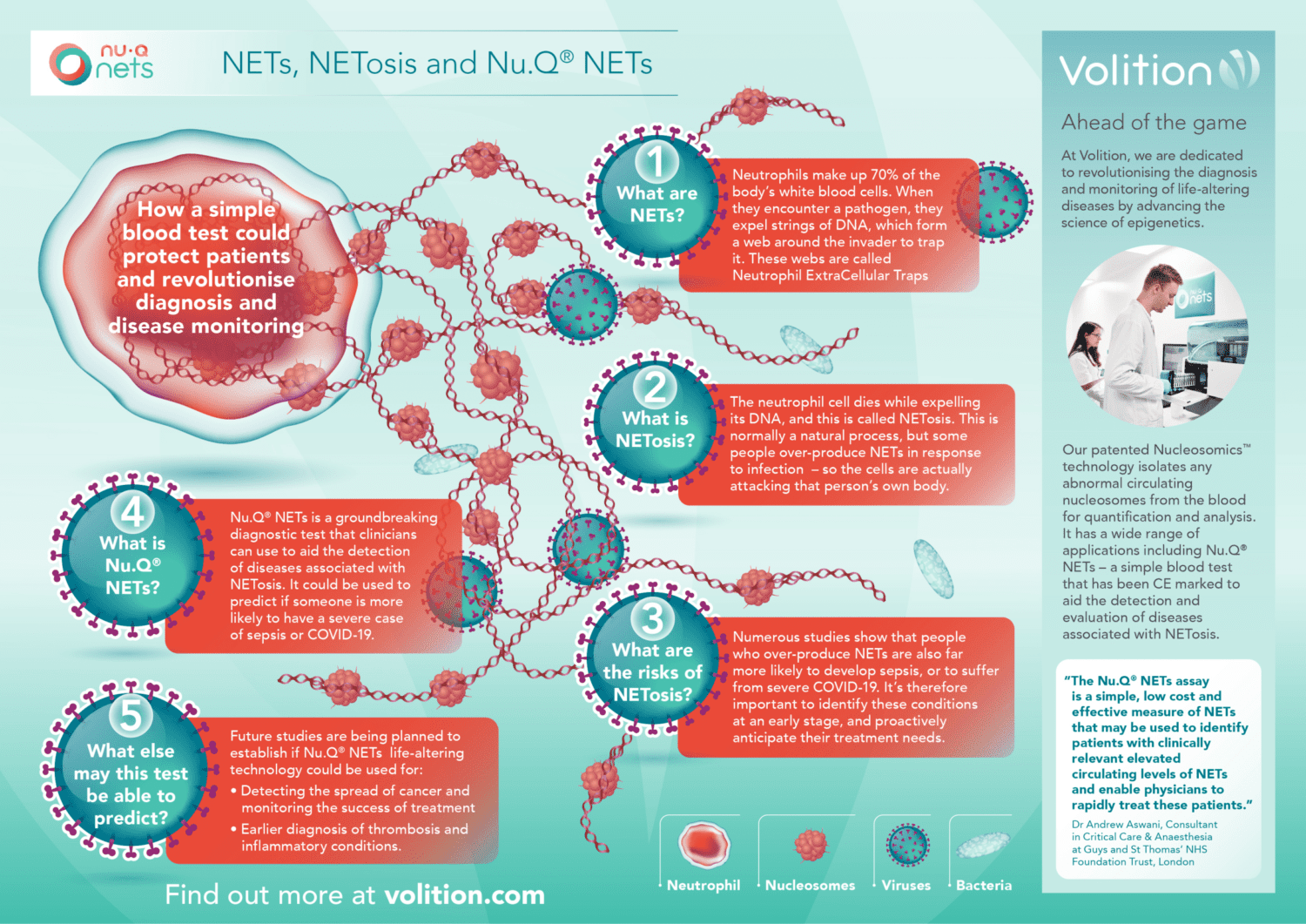 Volition - NETs infographic 031022 FINAL-1