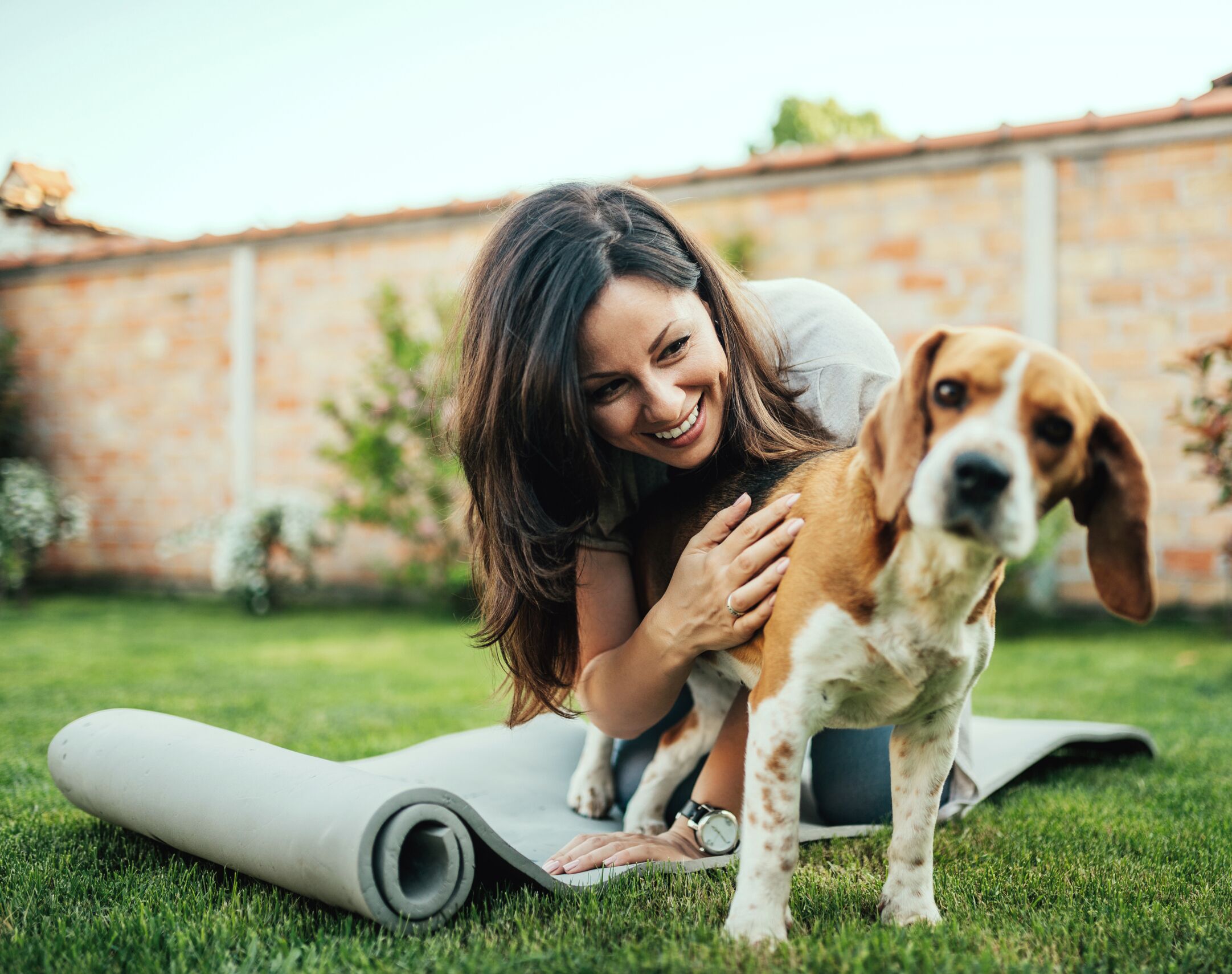 Girl playing with her beagle dog in yard.