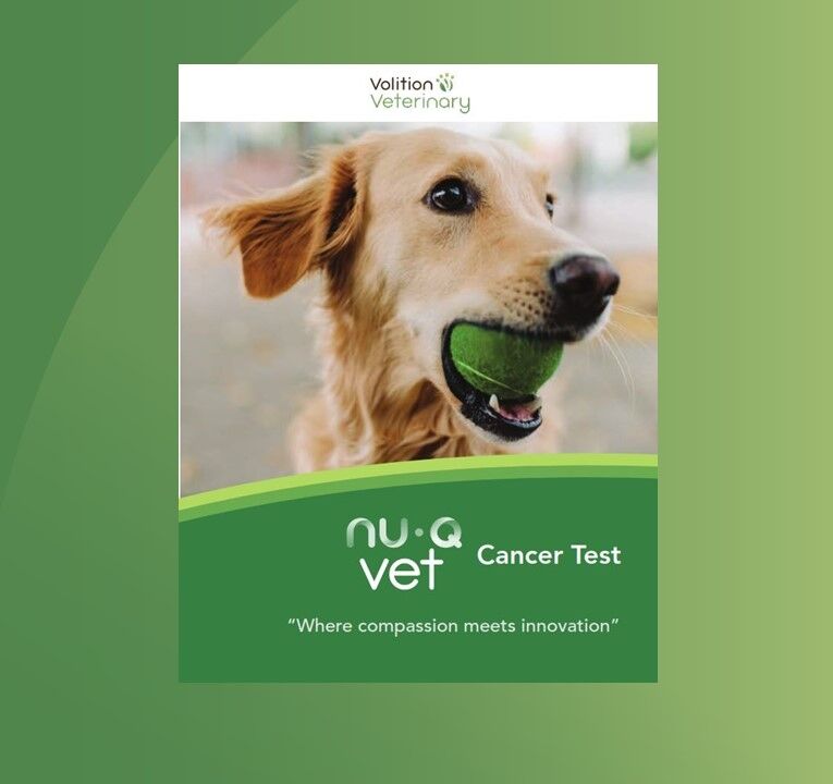 vet product brochure featured