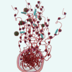 NETs on green sepsis background