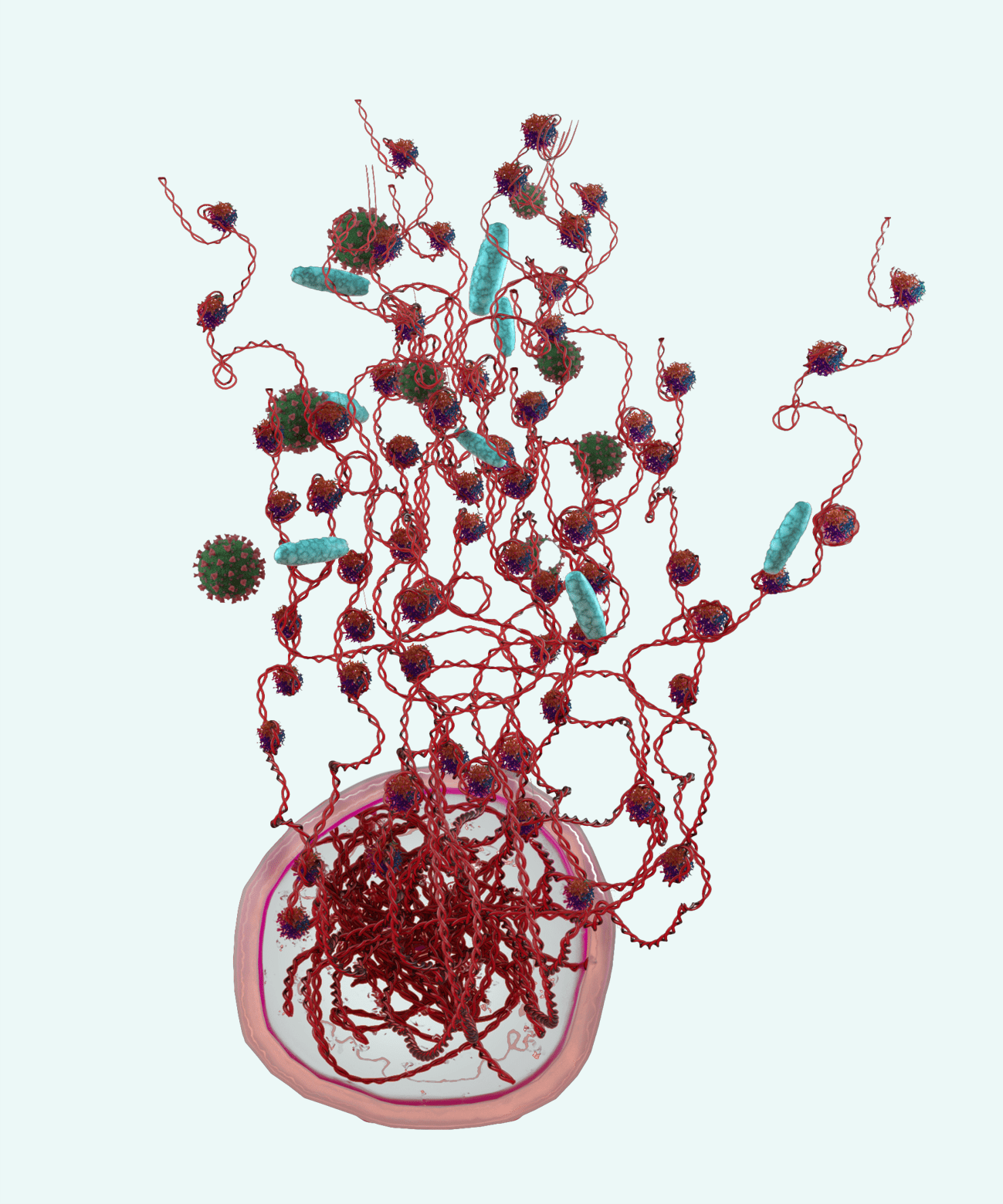 NETs on green sepsis background