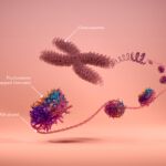 annotated nucleosome