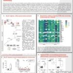 euromedlab22 thumbnail
