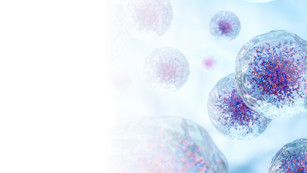 Cancer cells