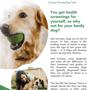 You get health screenings for yourself, so why not for your family dog Like humans, dogs are at risk of cancer. In fact, cancer is the leading cause of death in dogs over the age of two years old.