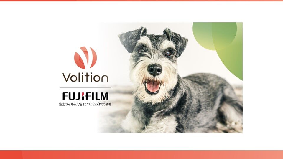 fuji release image