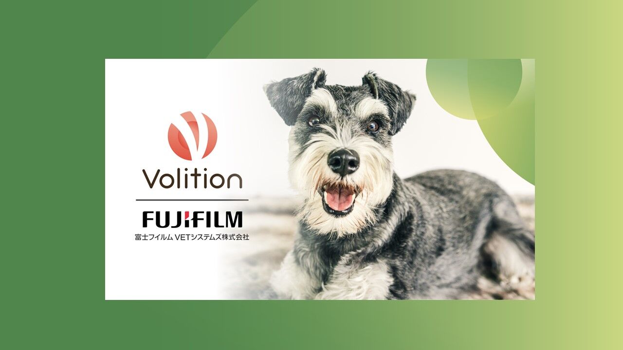fuji volition video