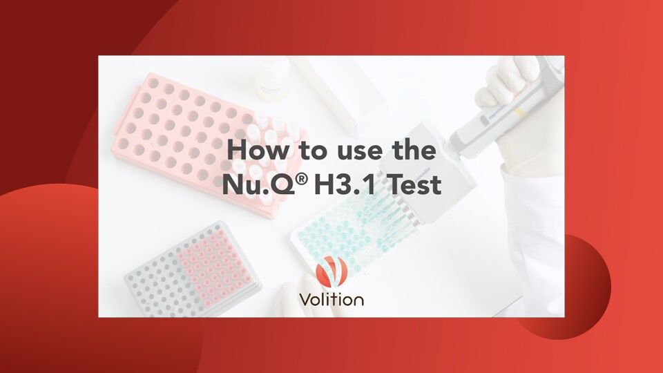 How to use the H3.1 test video featured image