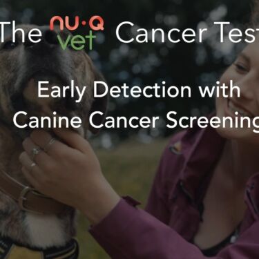 early detection vet webinar 1 thumbnail