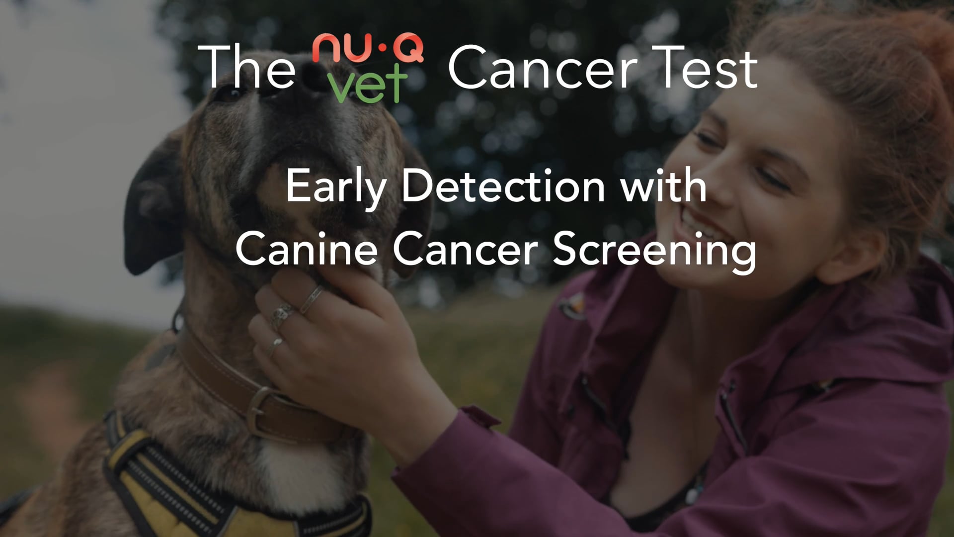 early detection vet webinar 1 thumbnail