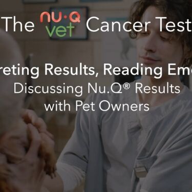 interpreting results vet webinar 3 thumbnail