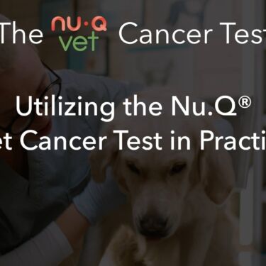 seamless integration vet webinar 2 thumbnail