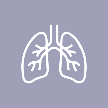 Lung - Copy