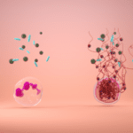 Netosis illustration