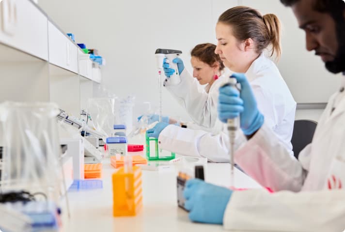 volition-veterinarians-2