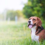 AdobeStock_277629250