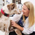 Heather_Wilson_Robles & Otis