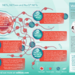 Volition - NETs infographic 031022 FINAL-1