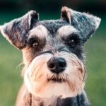 sebastian-coman-travel-JgKfmp9uq9w-unsplash