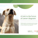 vet template for publications