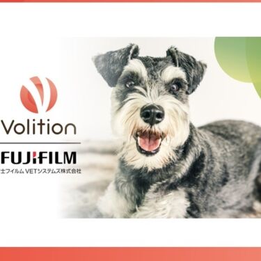 fuji release image
