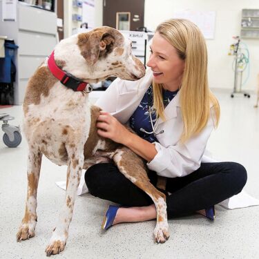 Heather_Wilson_Robles & Otis