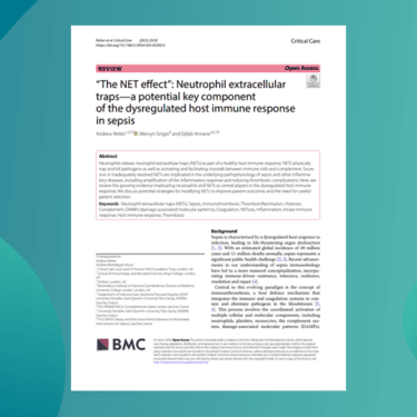 Review article thumbnail 2