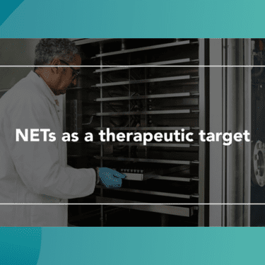 Web Thumbnail NETs as a therapeutic target