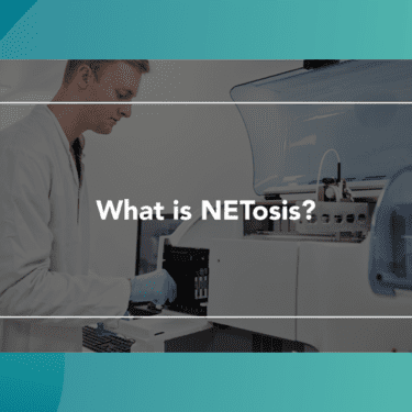 Web Thumbnail What is NETosis