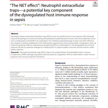 review article