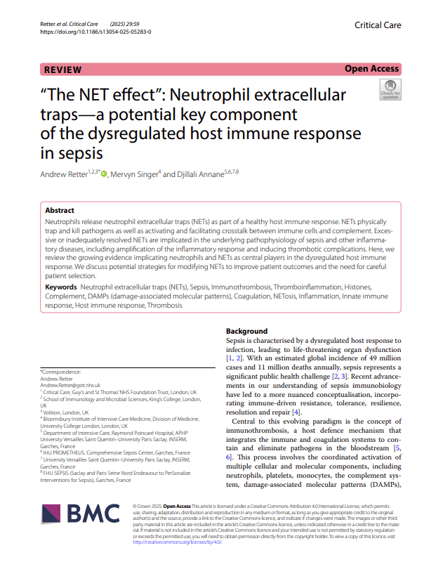 review article