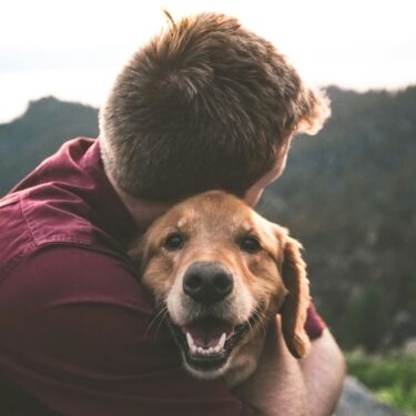 retriever with owner2
