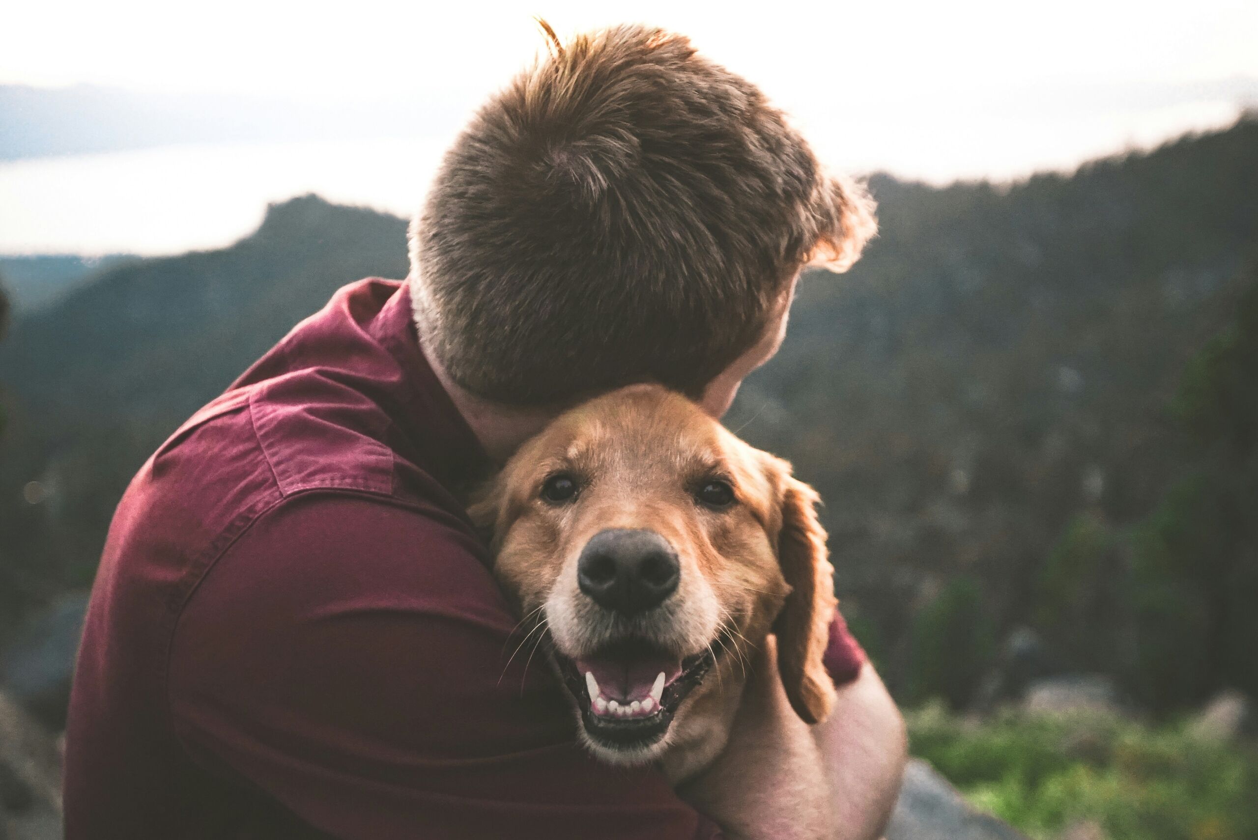 retriever with owner2