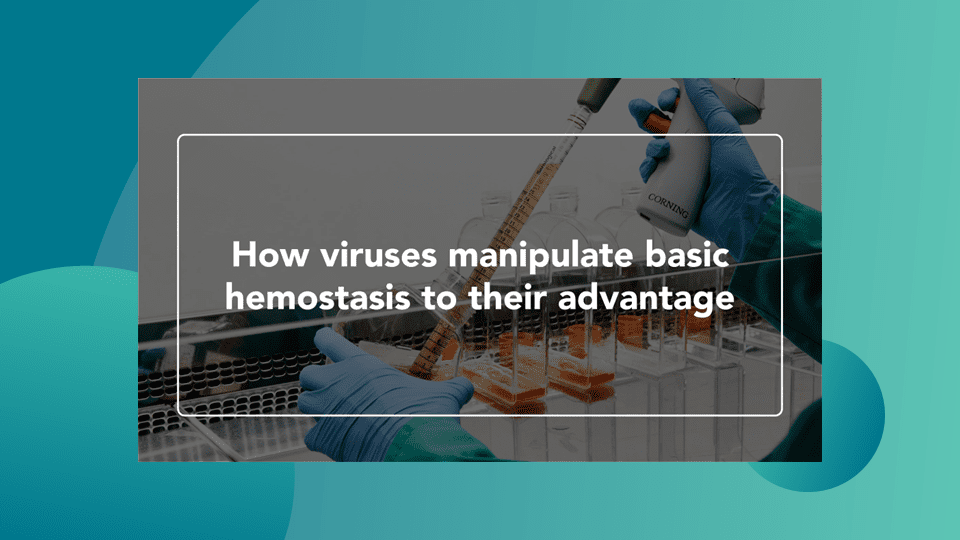 Web Thumbnail How viruses manipulate basic hemostasis to their advantage