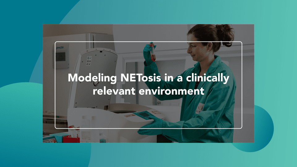 Web Thumbnail Modeling NETOsis in a clinically relevant environment