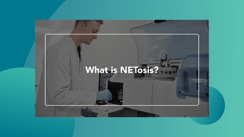 Web Thumbnail What is NETosis