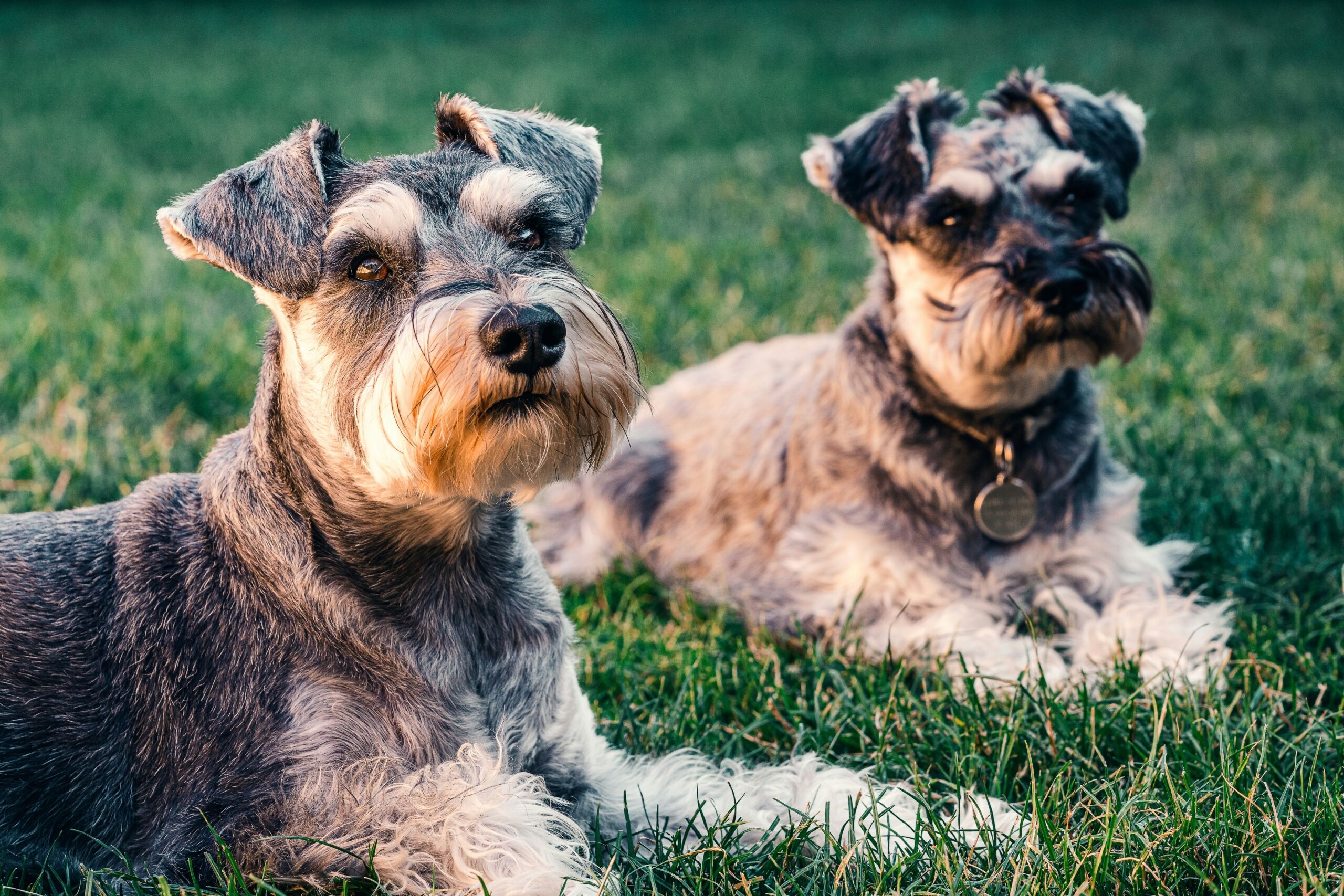 sebastian-coman-travel-K6Ms6TW6Rls-unsplash